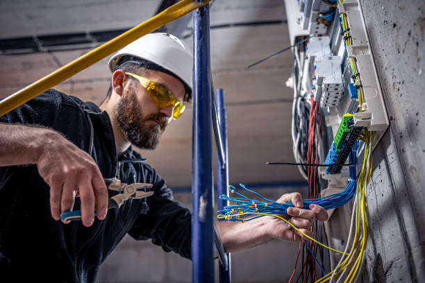 Best Licensed Electrician  in Temple Terrace, FL