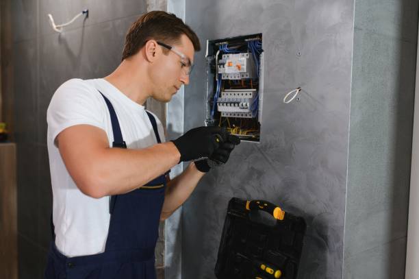 Best Electrical Troubleshooting Services  in Temple Terrace, FL